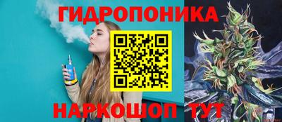 гидра Кимры
