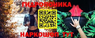 стаф Кингисепп
