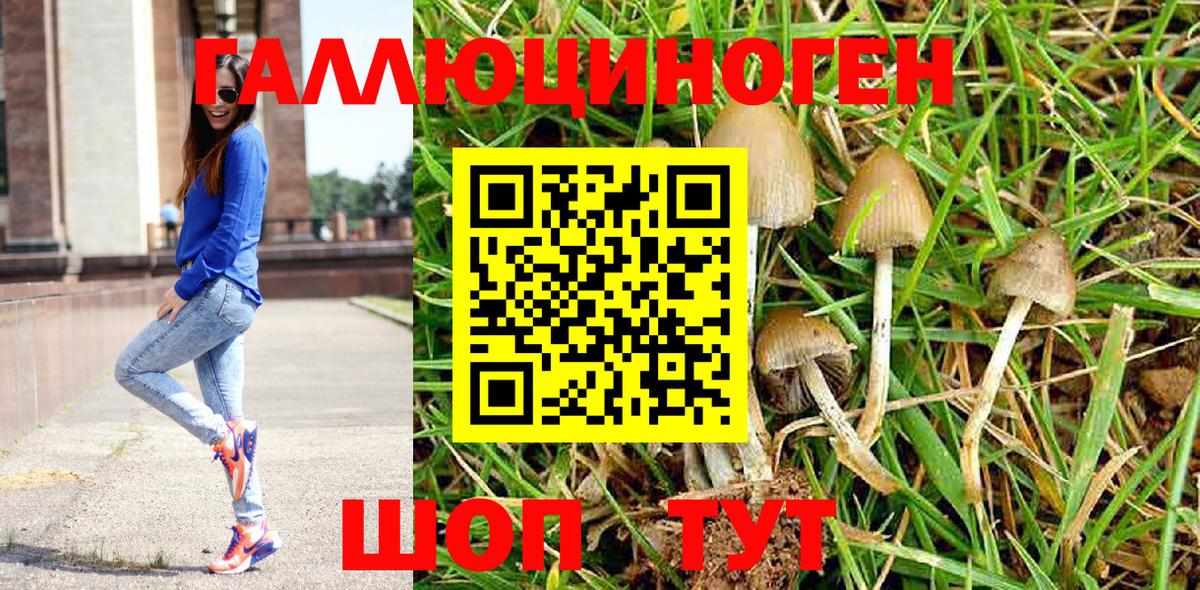 Псилоцибиновые грибы MAGIC MUSHROOMS Азов